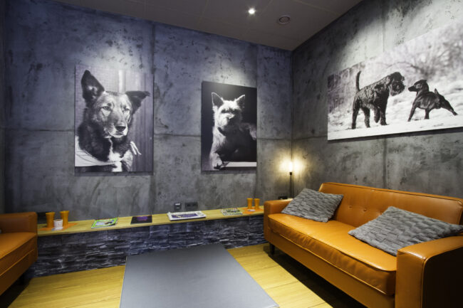 Betonoptik_Wandgestaltung-2
