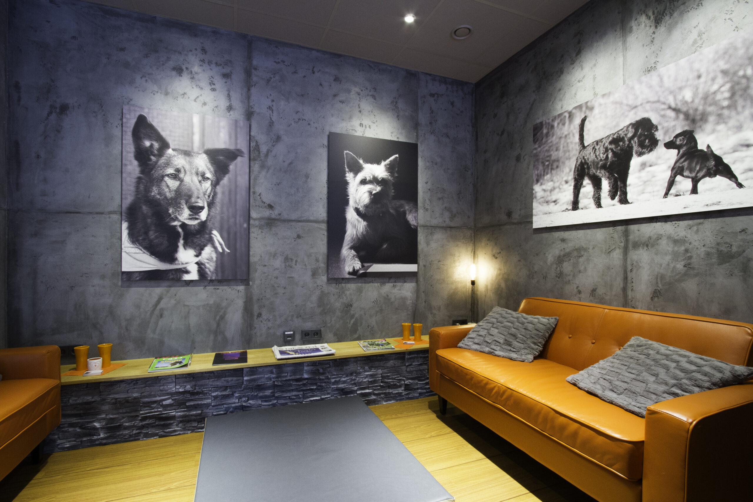 Betonoptik_Wandgestaltung-2